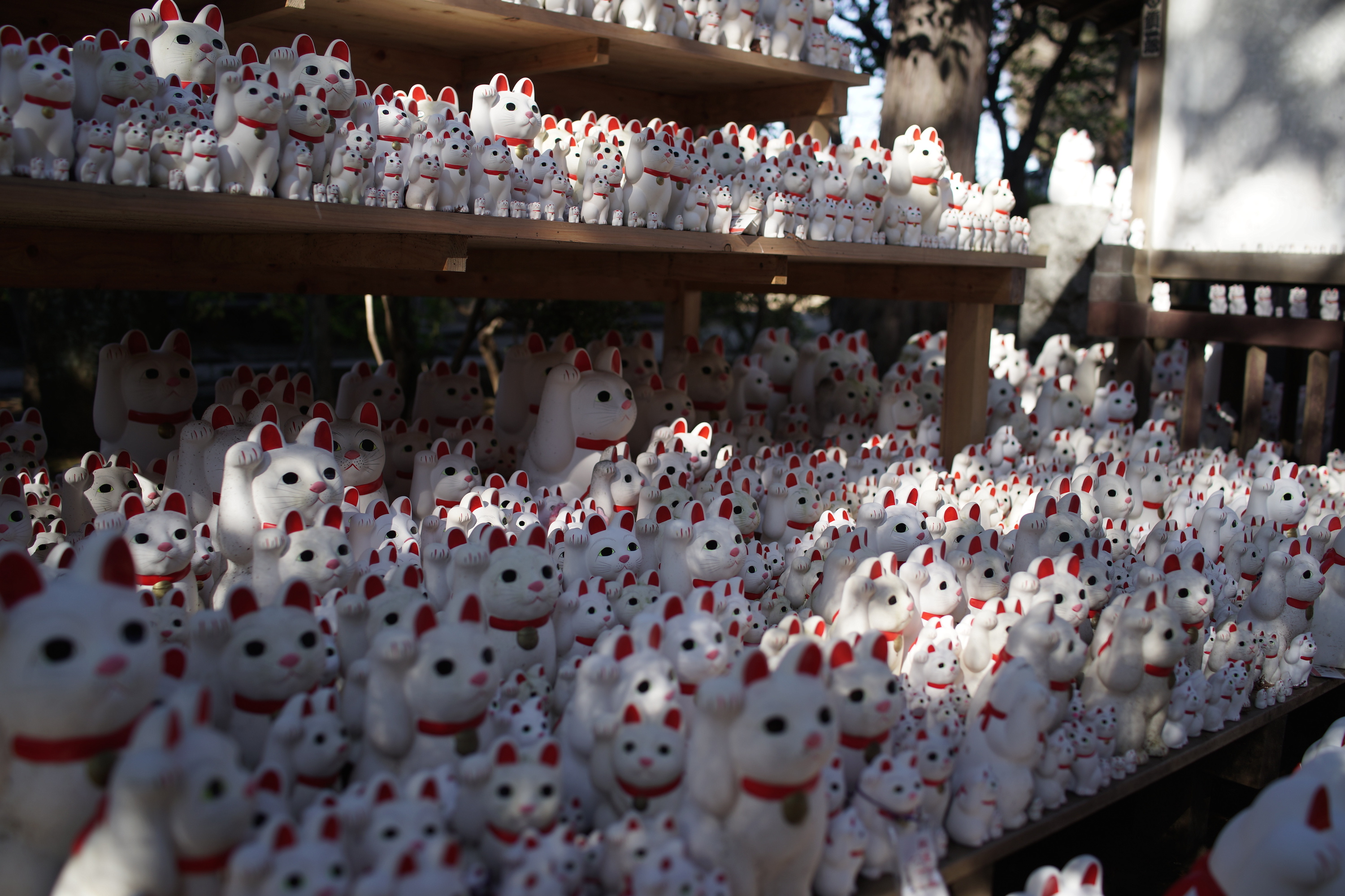 The Lucky Cat Temple